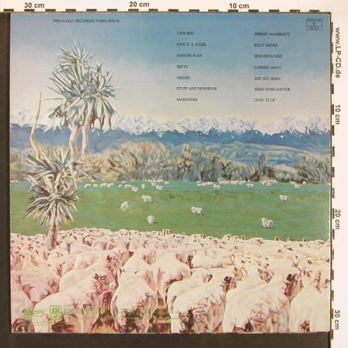Split Enz: Frenzy, AM (SP 69827), AUS, 1981 Typ: LP Best.-Nr.: V5884 Preis: 9,00 Euro