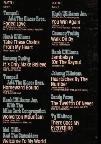 V.A.This Is Country & Western: 24 Golden Hits,Foc, Stern-Ed., MGM(2642 002), D, 1973 - 2LP - V5381 - 7,50 Euro