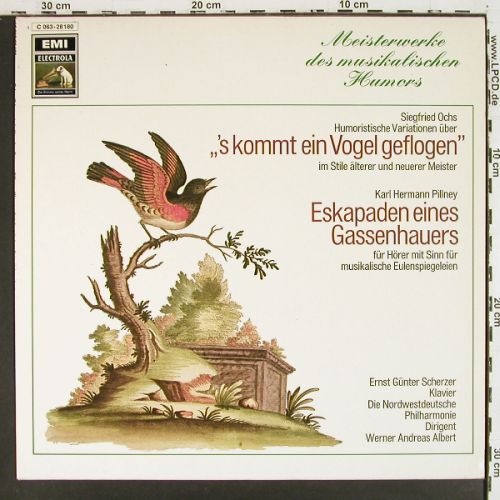 Ochs,Siegfried / K.H.Pillney: 's kommt ein Vogel geflogen..., EMI(C 063-28 180), D,  - LP - K1625 - 7,50 Euro