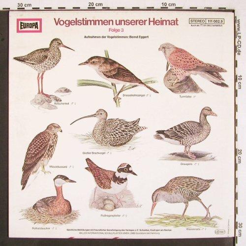 Vogelstimmen unserer Heimat: Folge 3, Europa(111 082.9), D, 1978 - LP - V2556 - 6,00 Euro